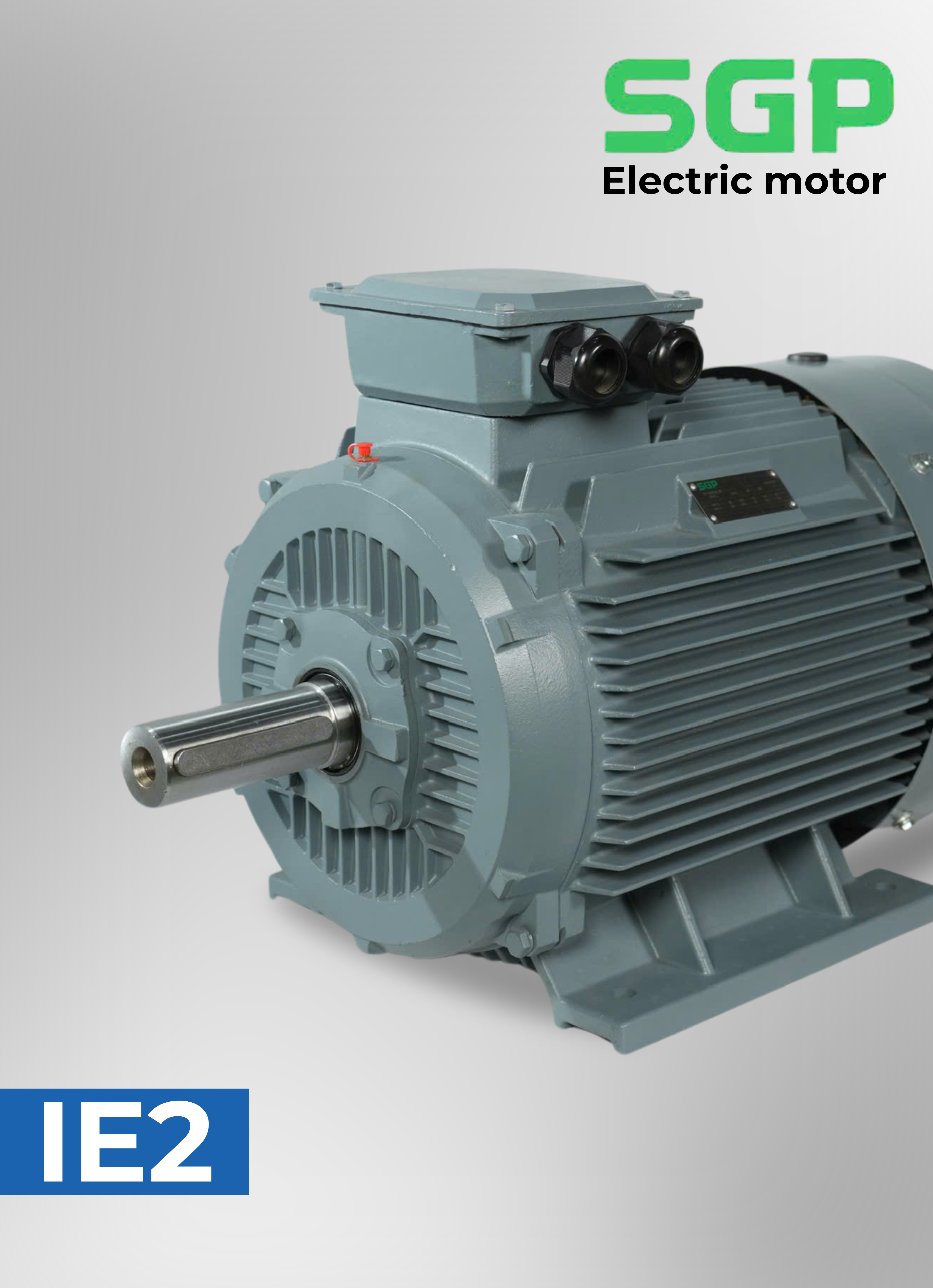 CÔNG TY NGỌC TIÊN