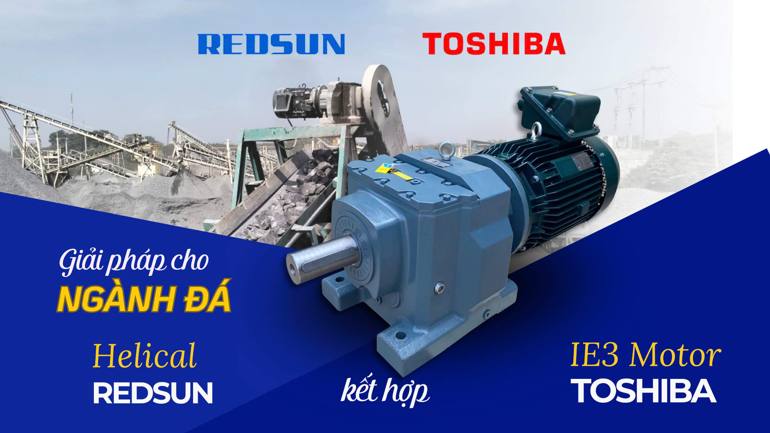 CÔNG TY NGỌC TIÊN