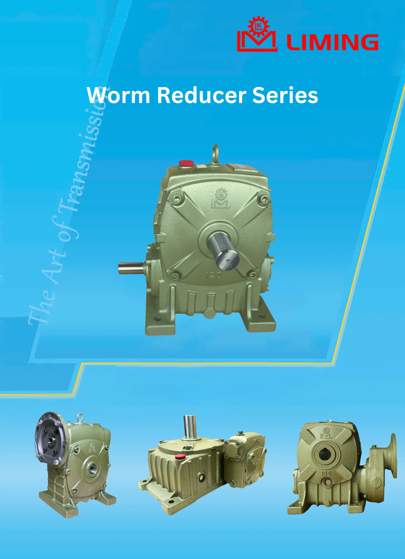 catalogue-hop-giam-toc-banh-vit-truc-vit-vo-gang-LIMING