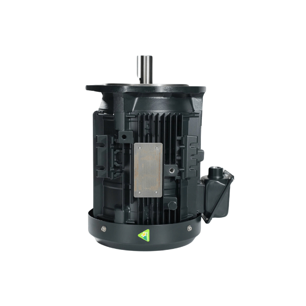 dong-co-dien-toshiba-ie3-mat-bich