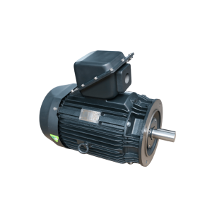 dong-co-dien-toshiba-ie3-mat-bich-b5