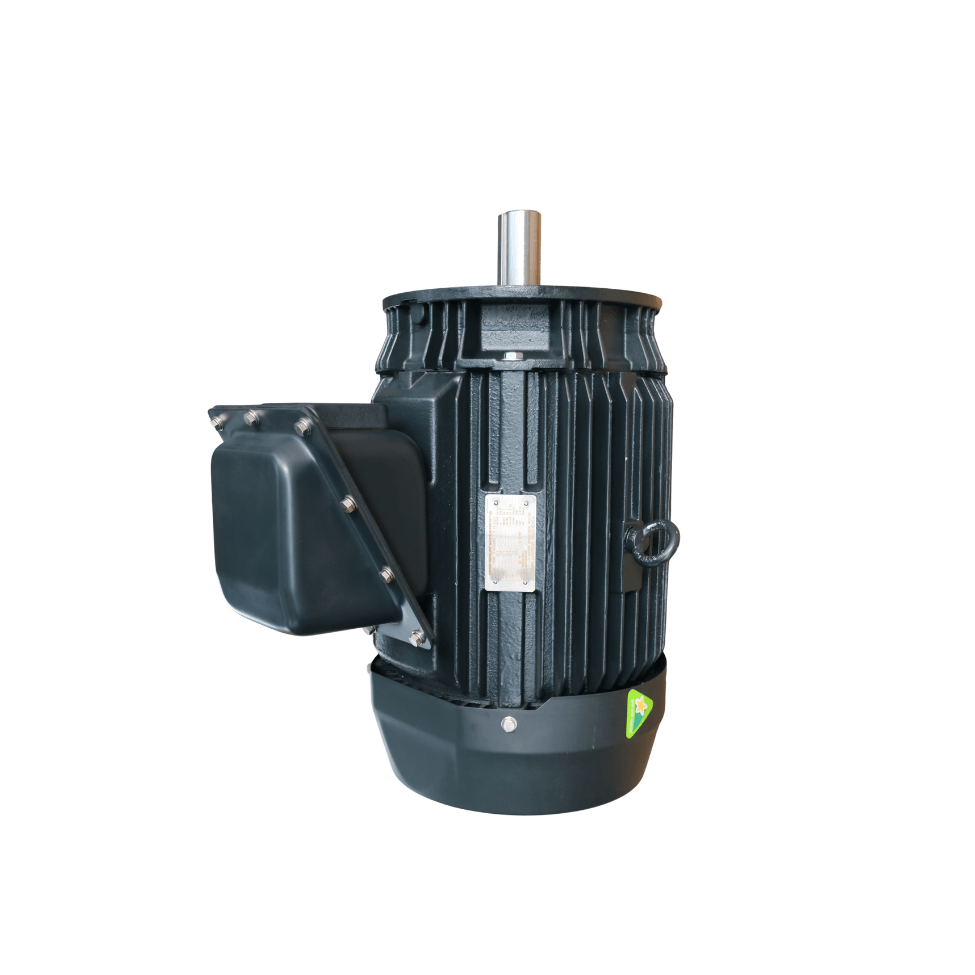 dong-co-toshiba-mat-bich