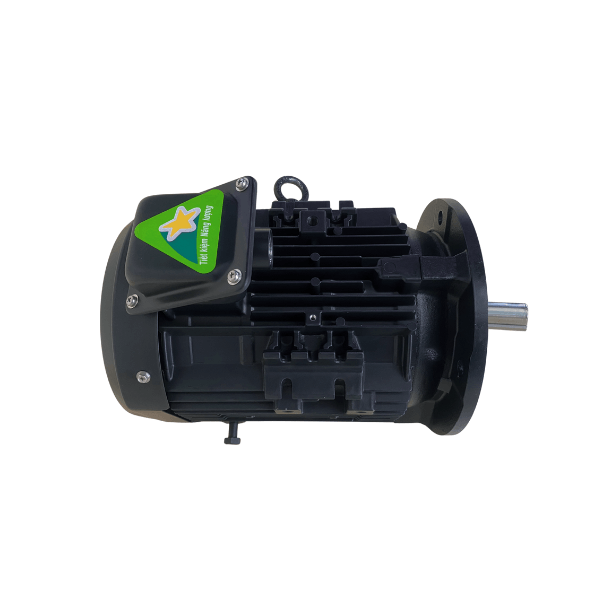 Động Cơ Điện TOSHIBA IE3 3kW 6 Cực Mặt Bích