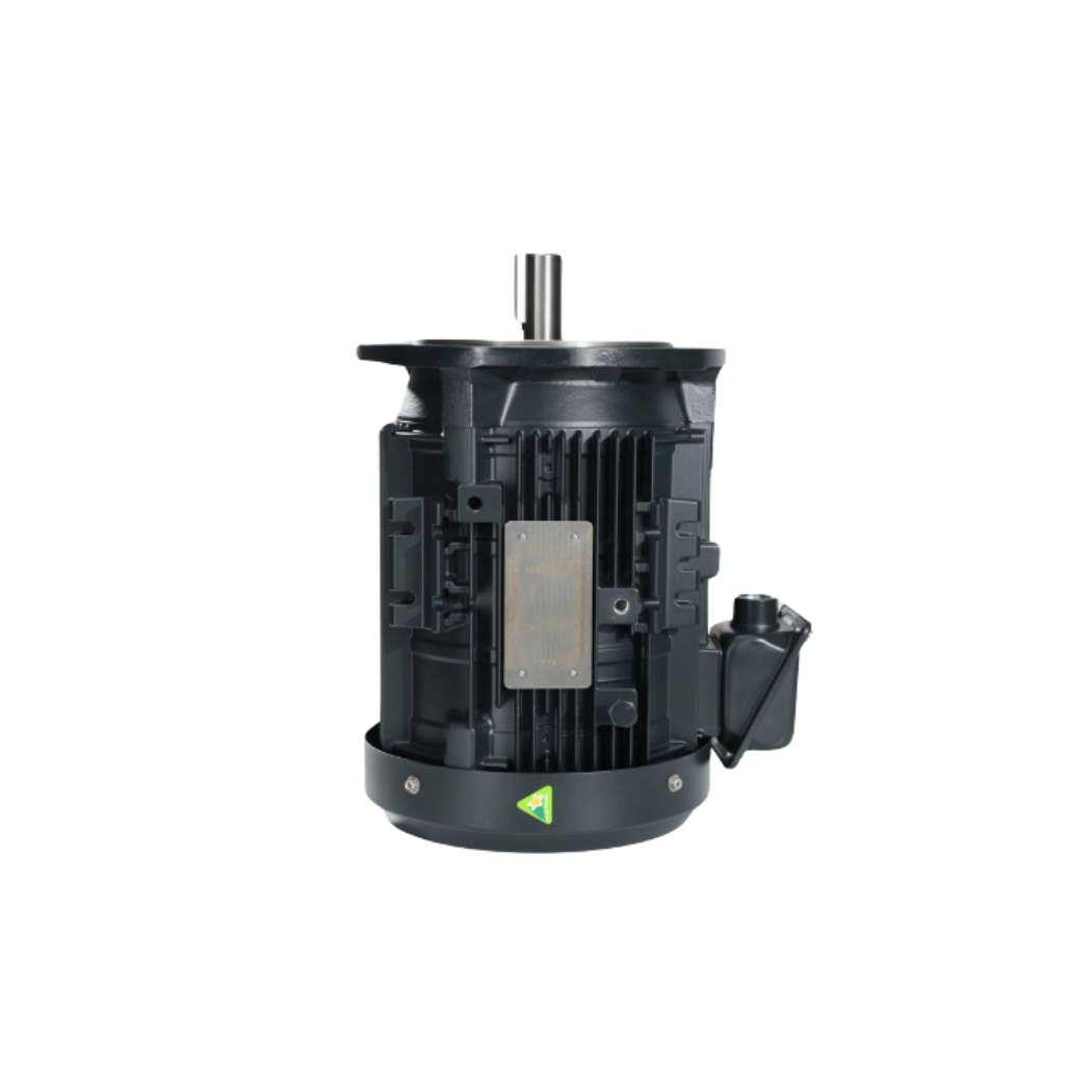 dong-co-dien-toshiba-ie3-mat-bich-b5