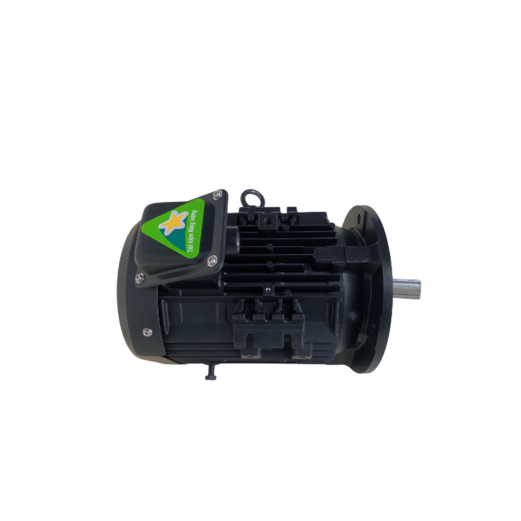 dong-co-dien-toshiba-ie3-mat-bich