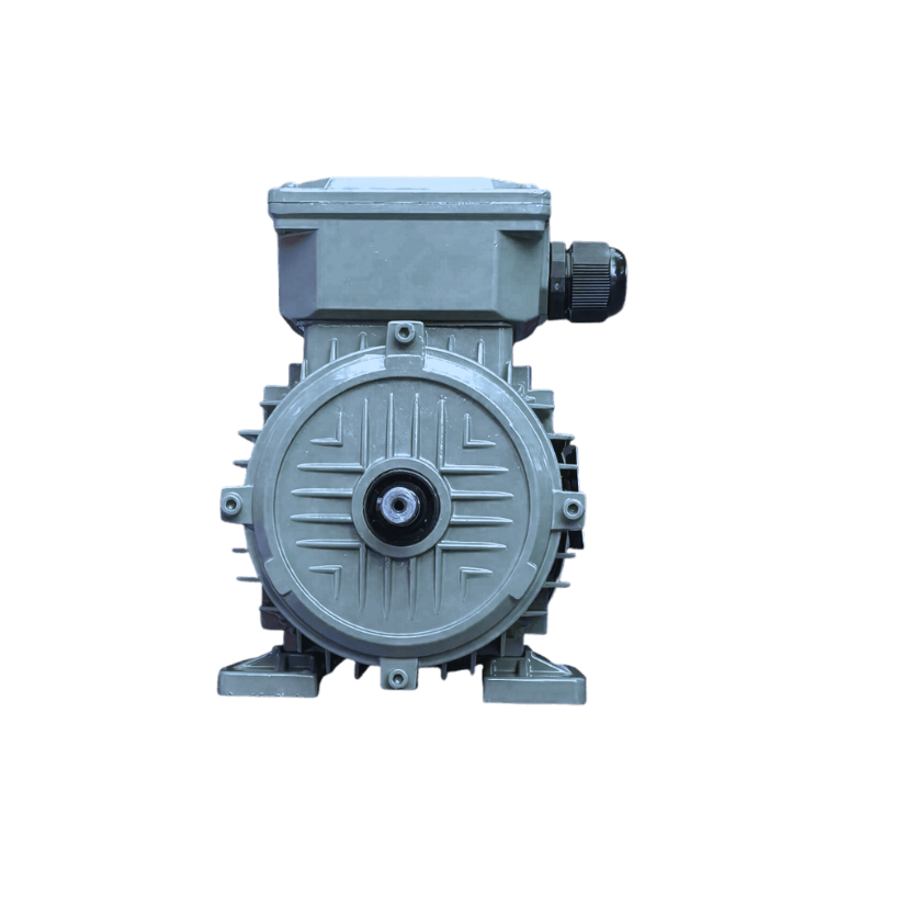 Động Cơ Điện SGP 0.18kW 2 Cực Chân Đế 63M1-2-0.18KW (IE2-B3)