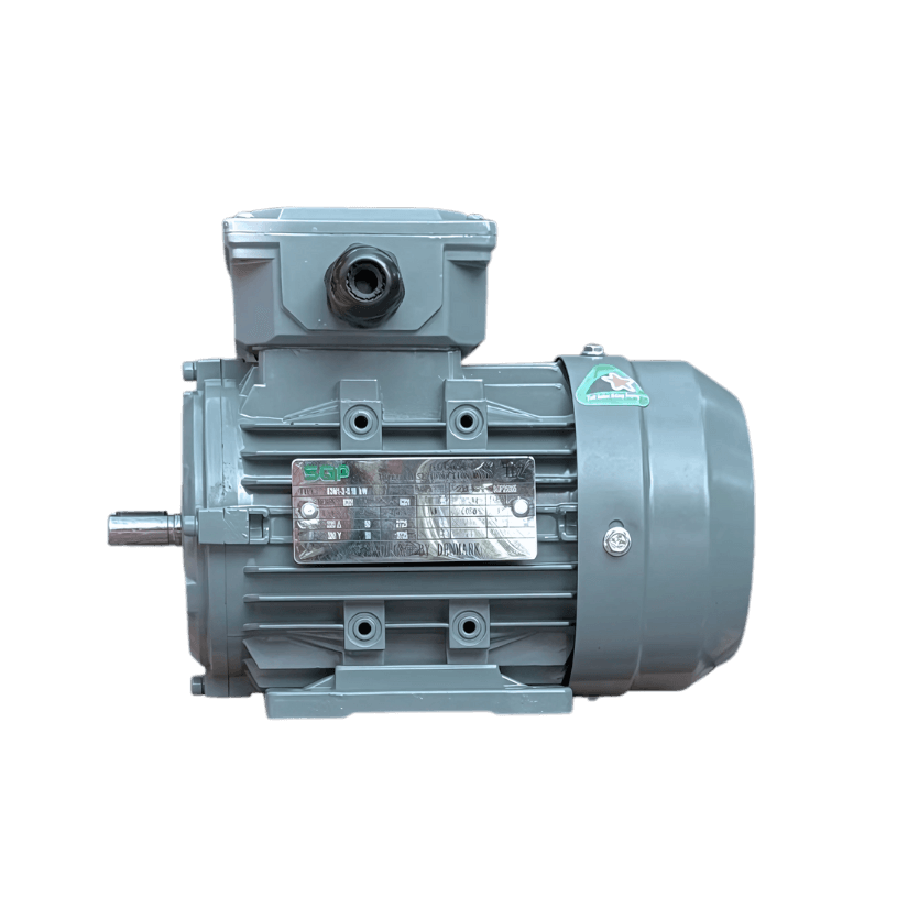 dong-co-dien-sgp-chan-de