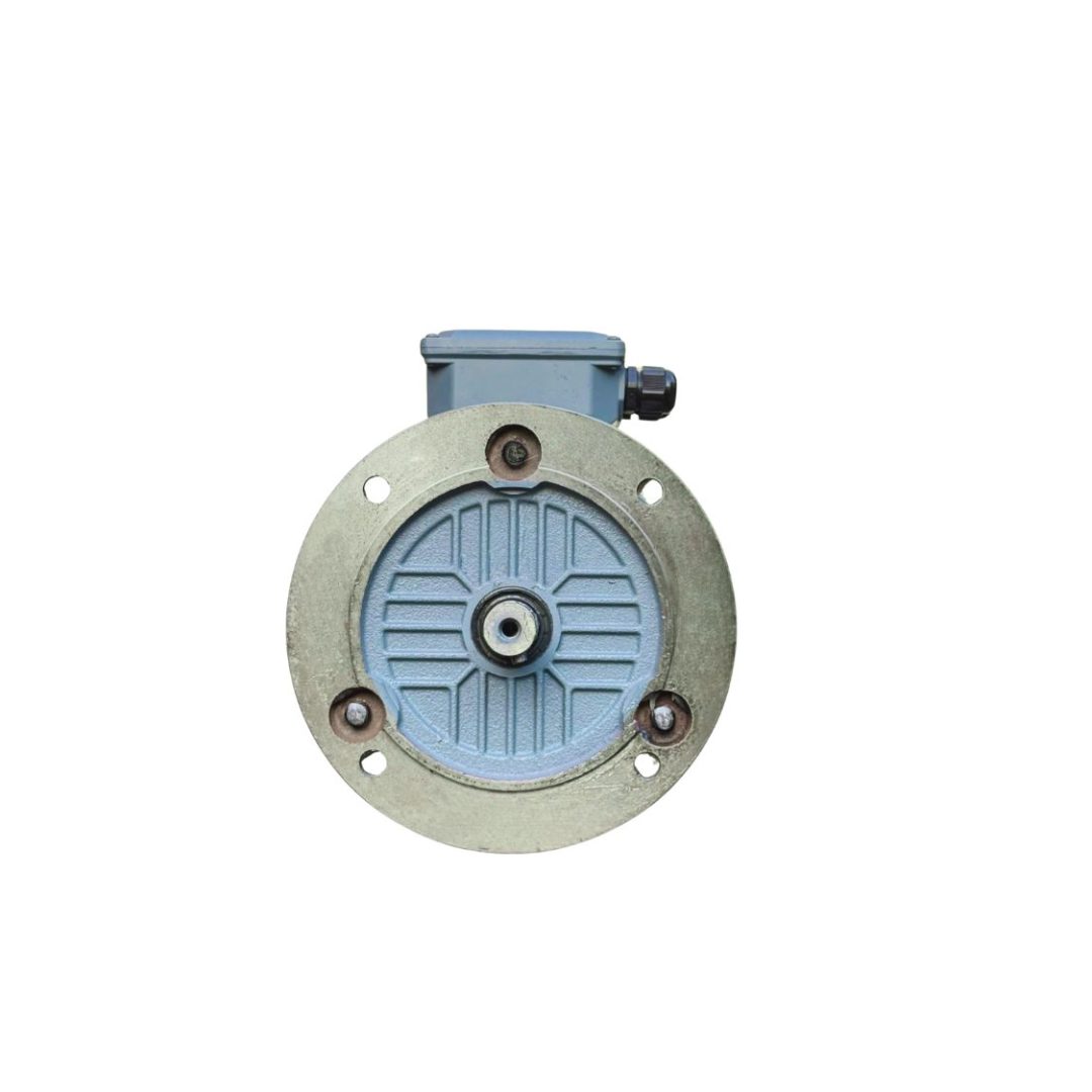 Động Cơ Điện SGP 30kW 2 Cực Mặt Bích 200L1-2-30kW (IE2-B5)