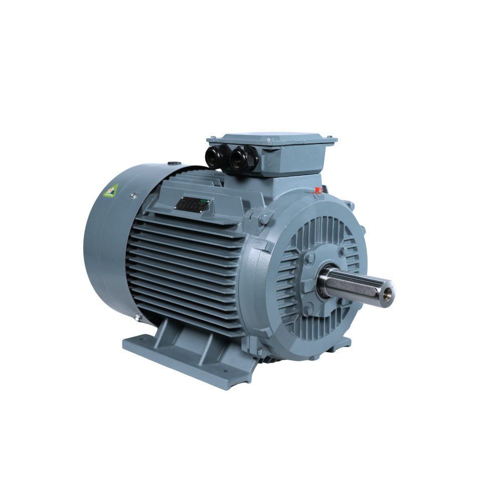 dong-co-dien-sgp-chan-de