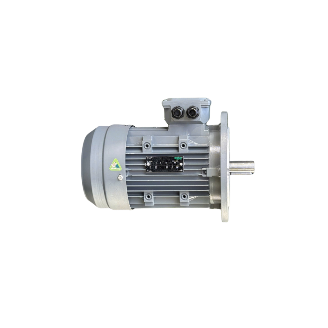 dong co dien sgp mat bich b5